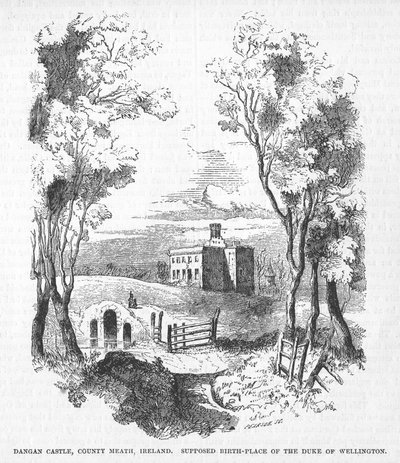 Dangan Castle, County Meath, Irland von English School